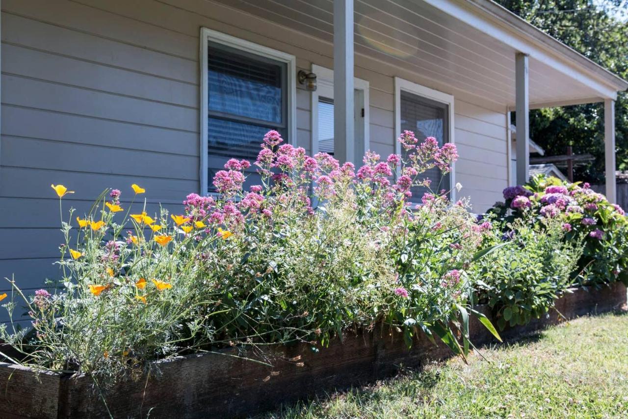 West End Neighborhood Cottage 산타 로사 외부 사진