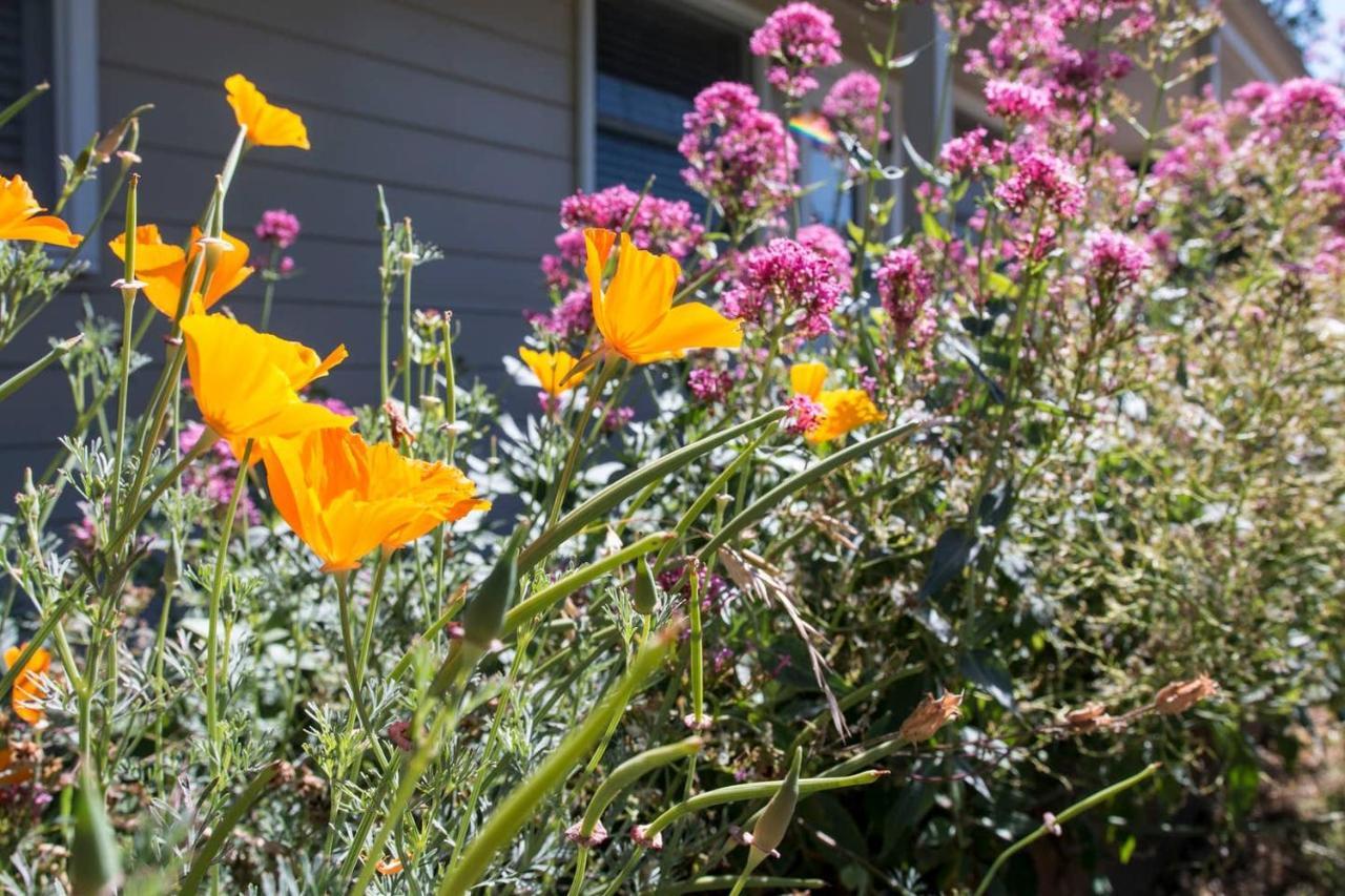 West End Neighborhood Cottage 산타 로사 외부 사진